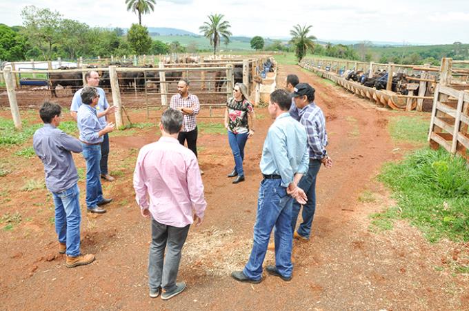 Proposta de nova parceria ocorre na área de nutrição animal