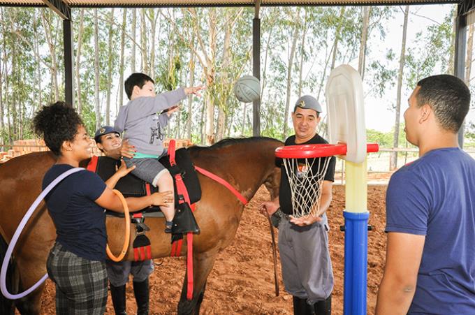 Cavalaria de SP oferece aulas de equoterapia para estimular pessoas com  deficiência