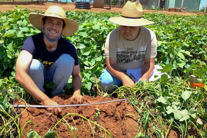 Pesquisa sobre batata-doce conquista projeção internacional