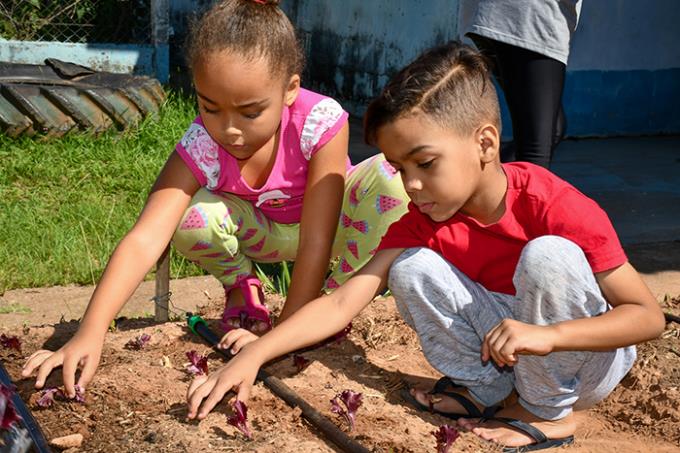 Agronomia implanta horta na escola do jardim Morada do Sol