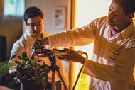 A imagem mostra um ambiente de laboratório onde uma pessoa, vestida com um jaleco branco, está utilizando um dispositivo tecnológico para analisar uma planta. O equipamento emite uma luz vermelha sobre a planta, sugerindo que pode ser um tipo de sensor ou instrumento de medição. A cena é iluminada por uma luz quente ao fundo, criando um contraste interessante com o foco da atividade científica. A atmosfera sugere um estudo relacionado à botânica ou biotecnologia.